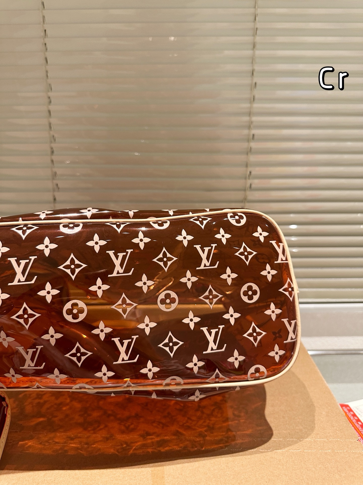 LV transparent bag