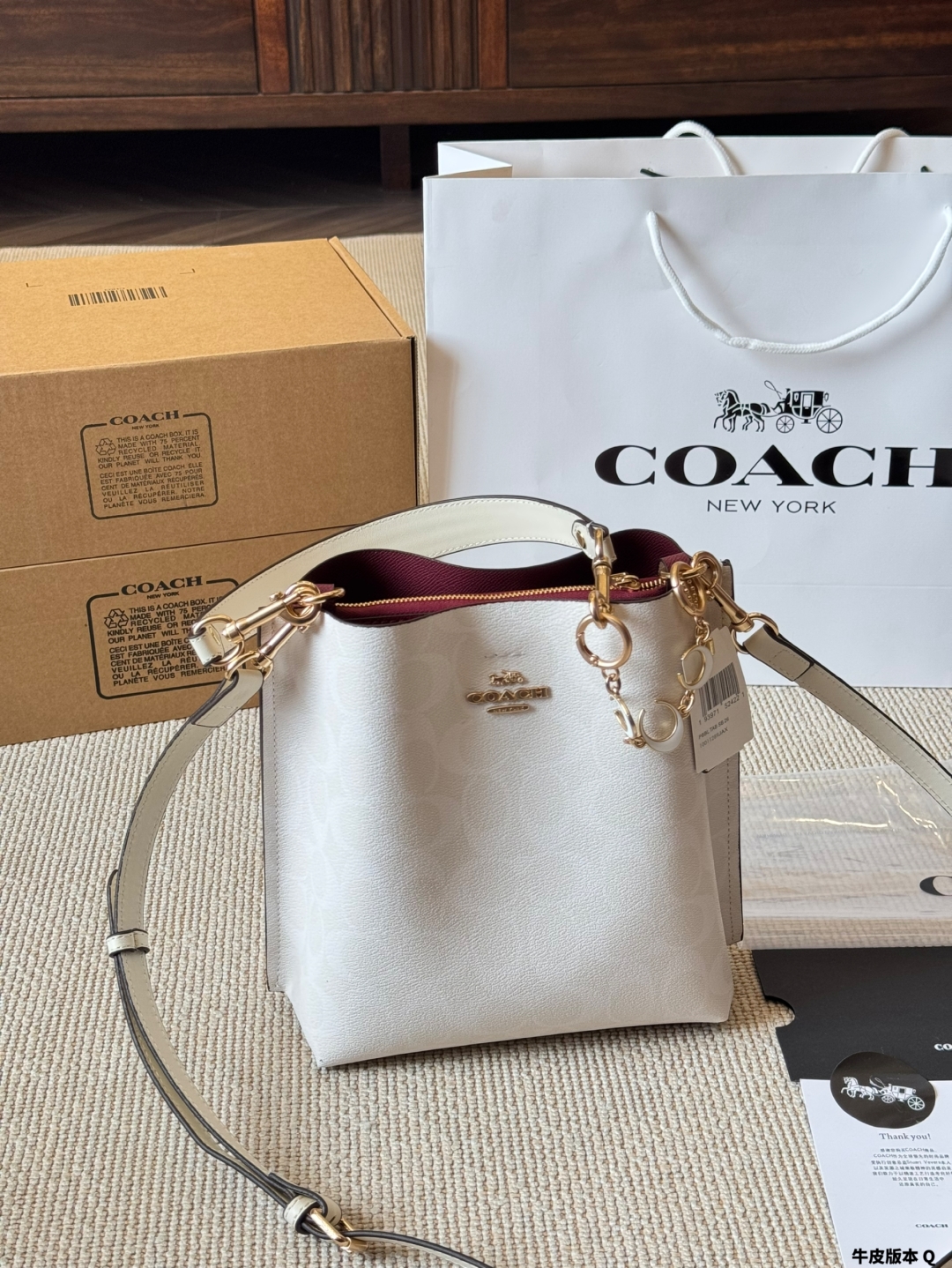 Coach Mollie Bucket Series Bucket Bag