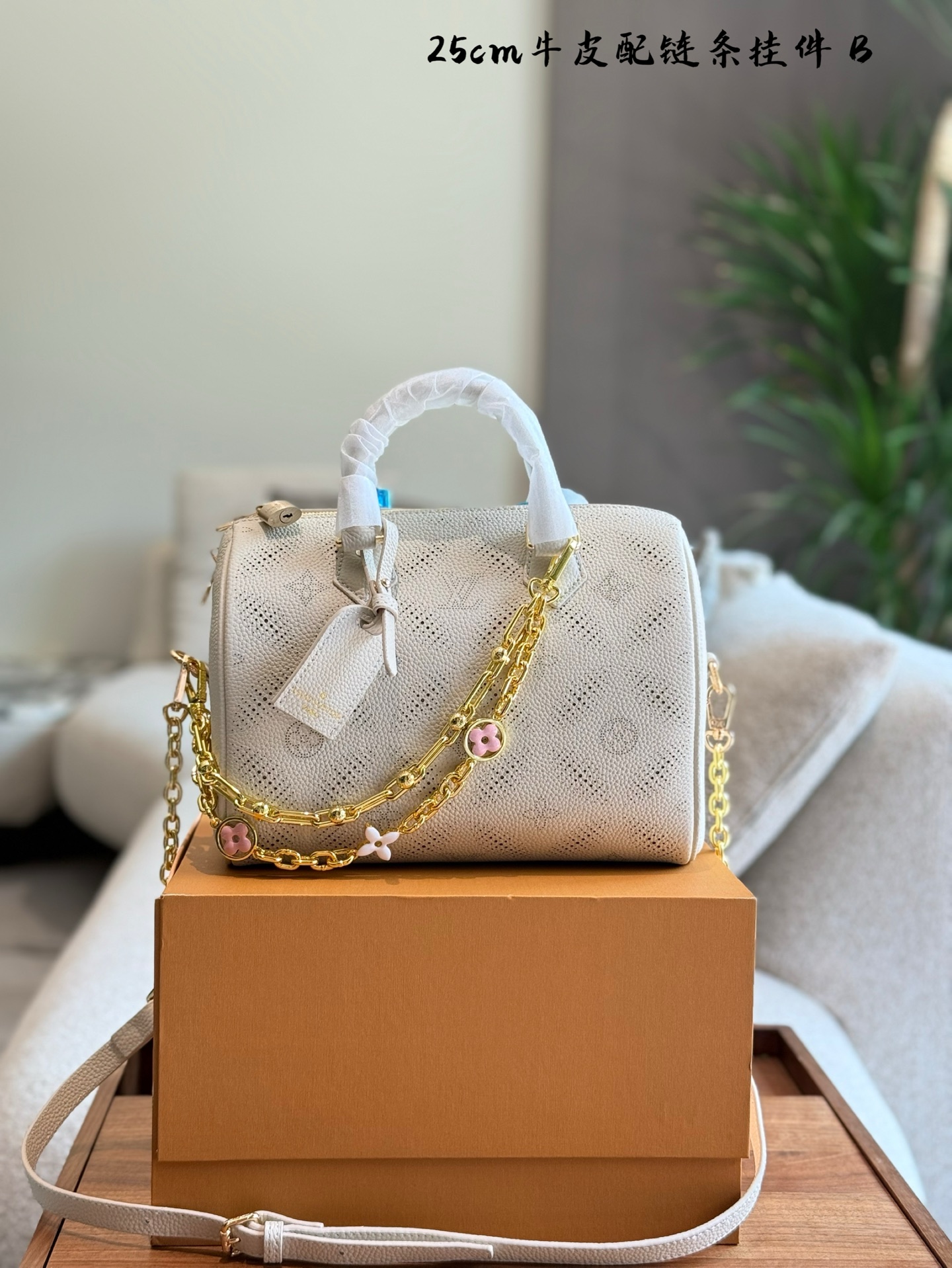 LV Speedy nano pillow bag