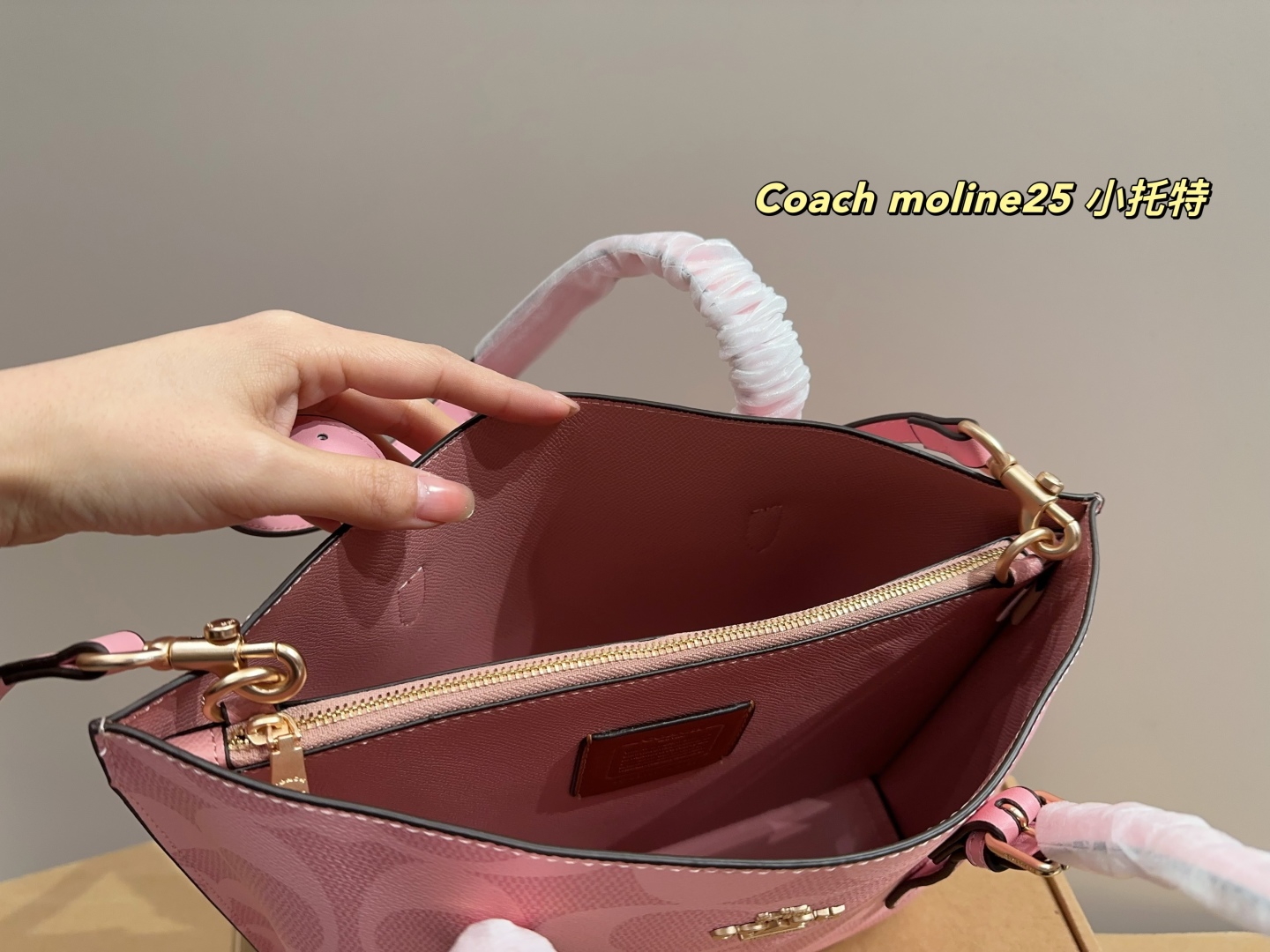 Coach moline25 small tote