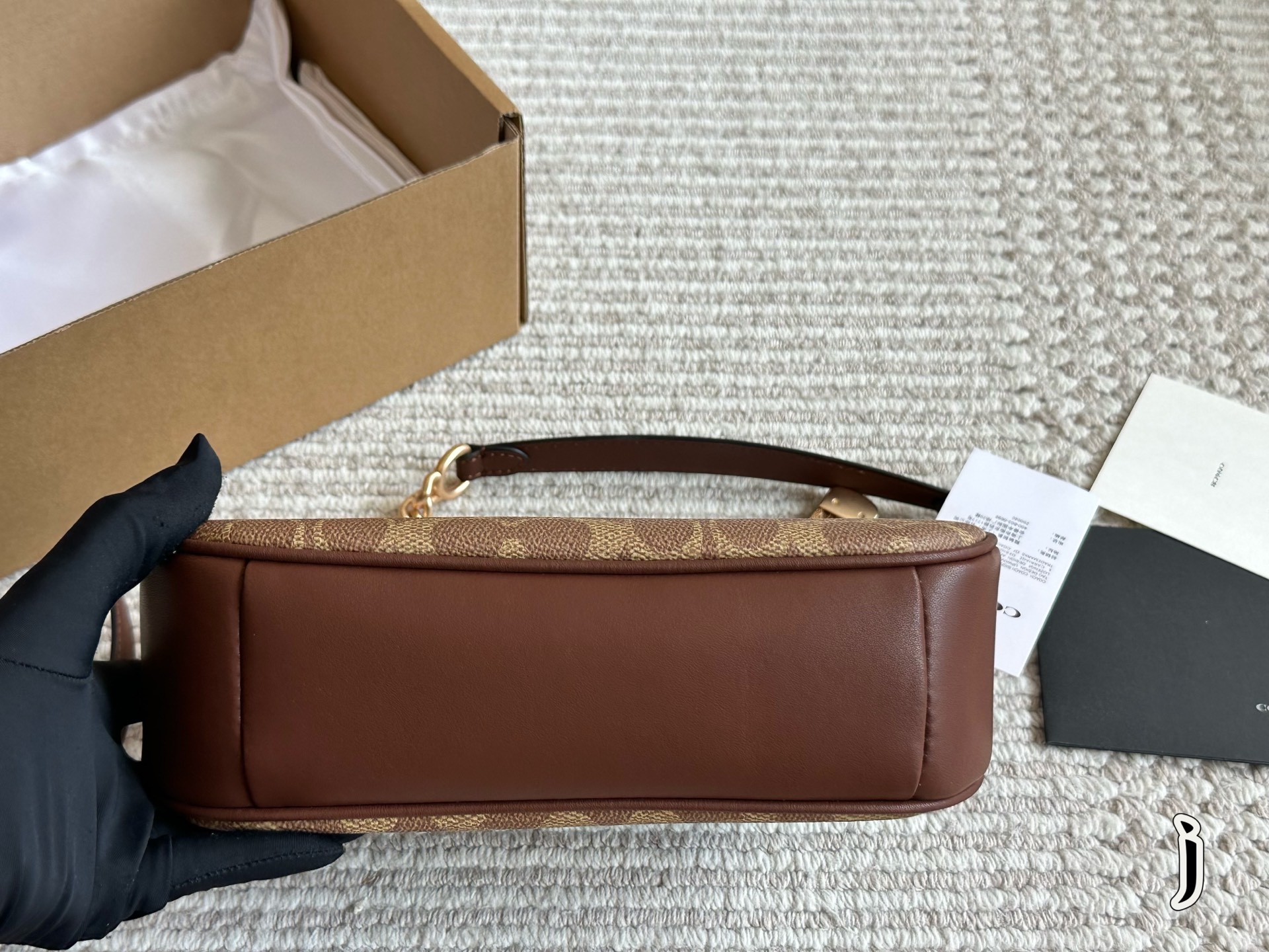 Coach Teri Underarm Bag