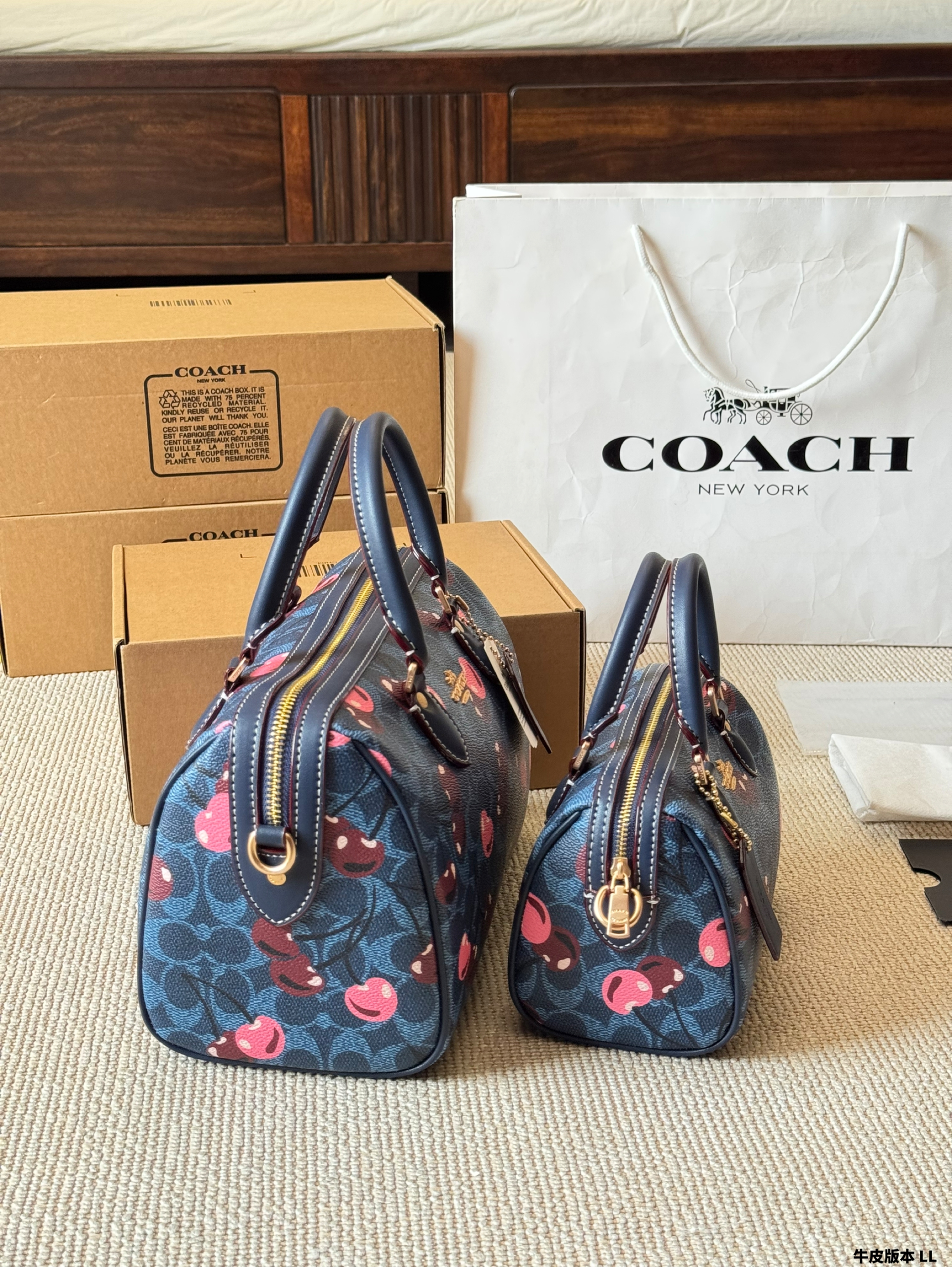 Coach miniRowan pillow bag