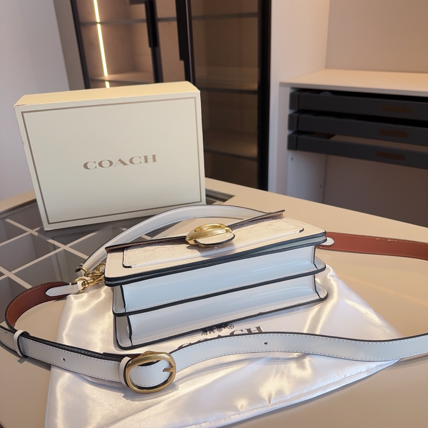 Coach's new patent leather embossed Dionysus bag tall version