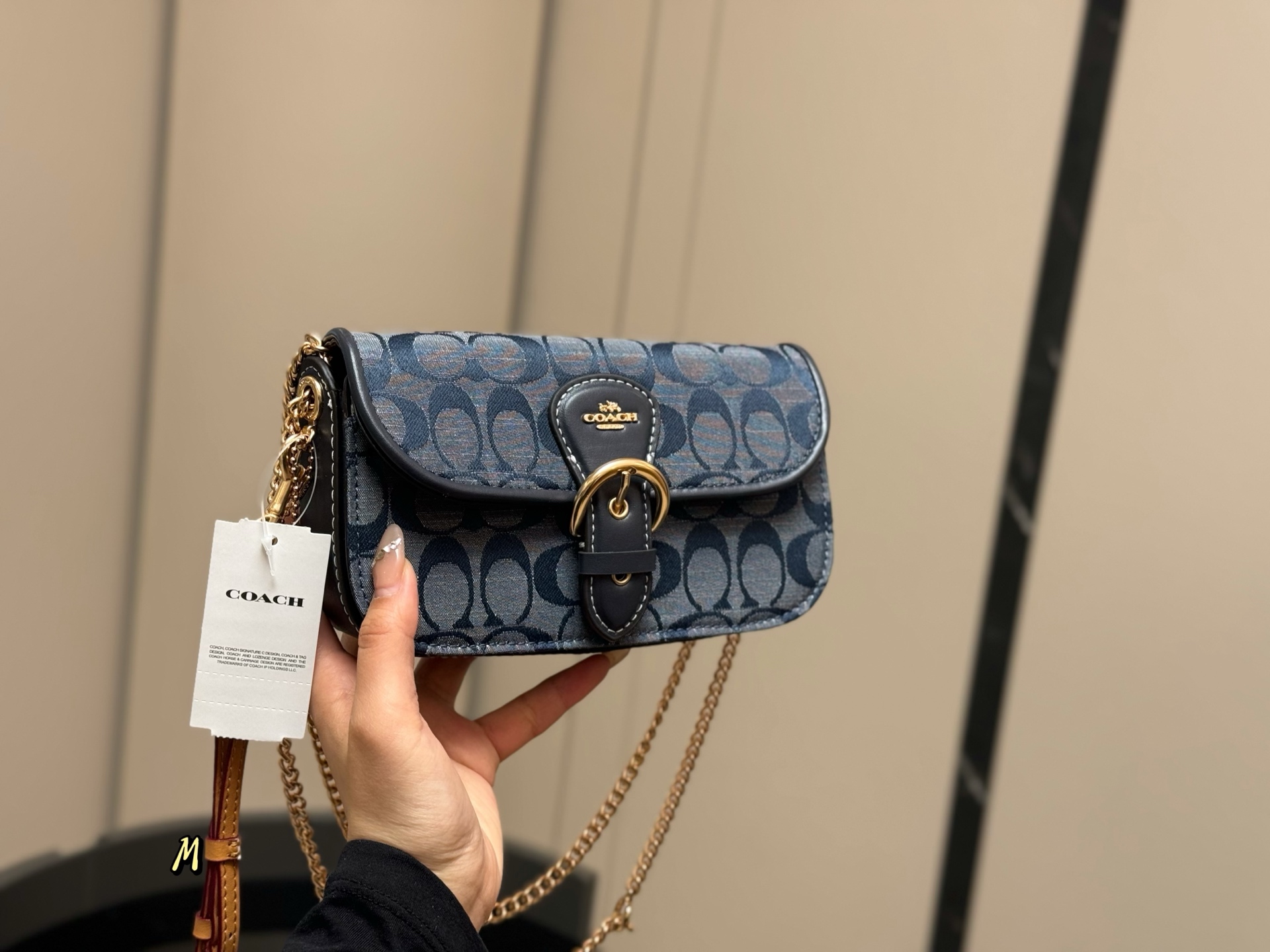 COACH chain bag