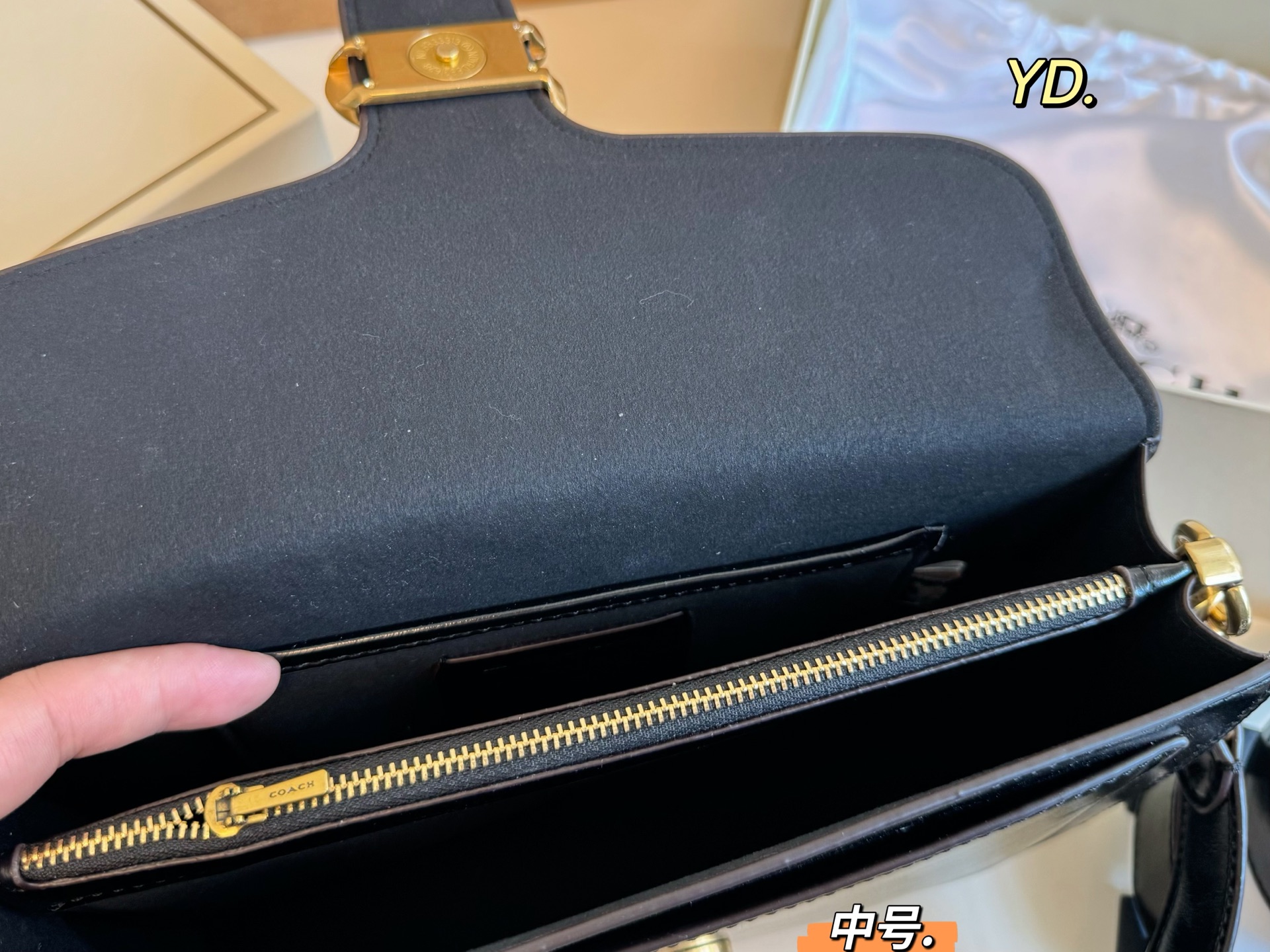 COACH Tabby Dionysus bag