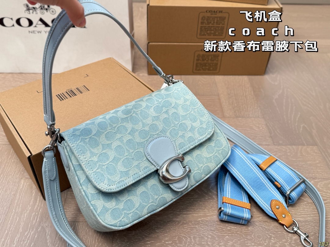 Coach Chambre underarm bag