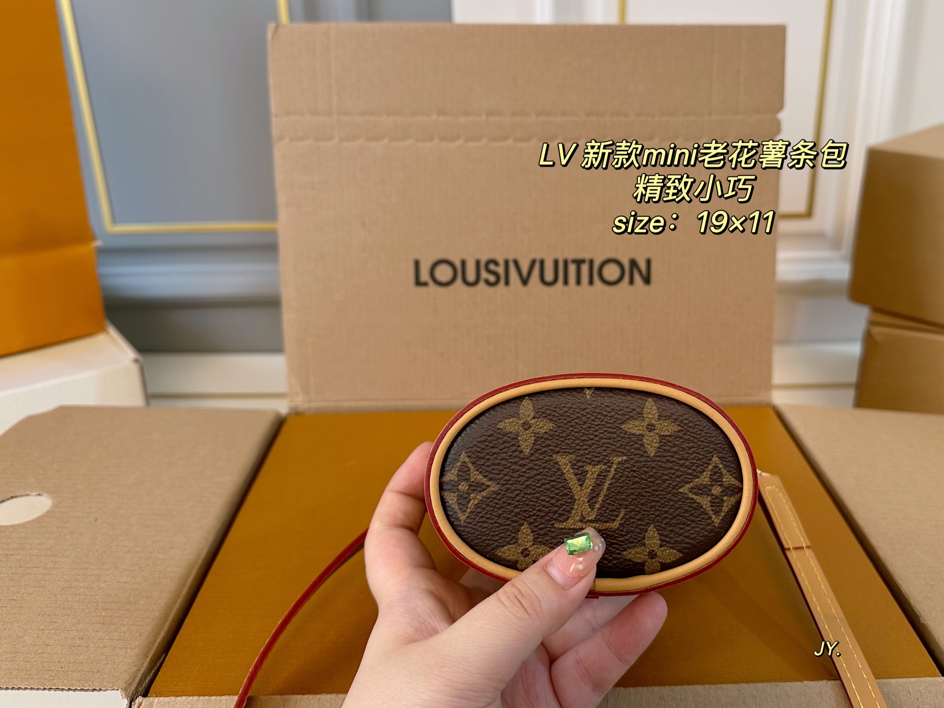 LV mini shoulder bag
