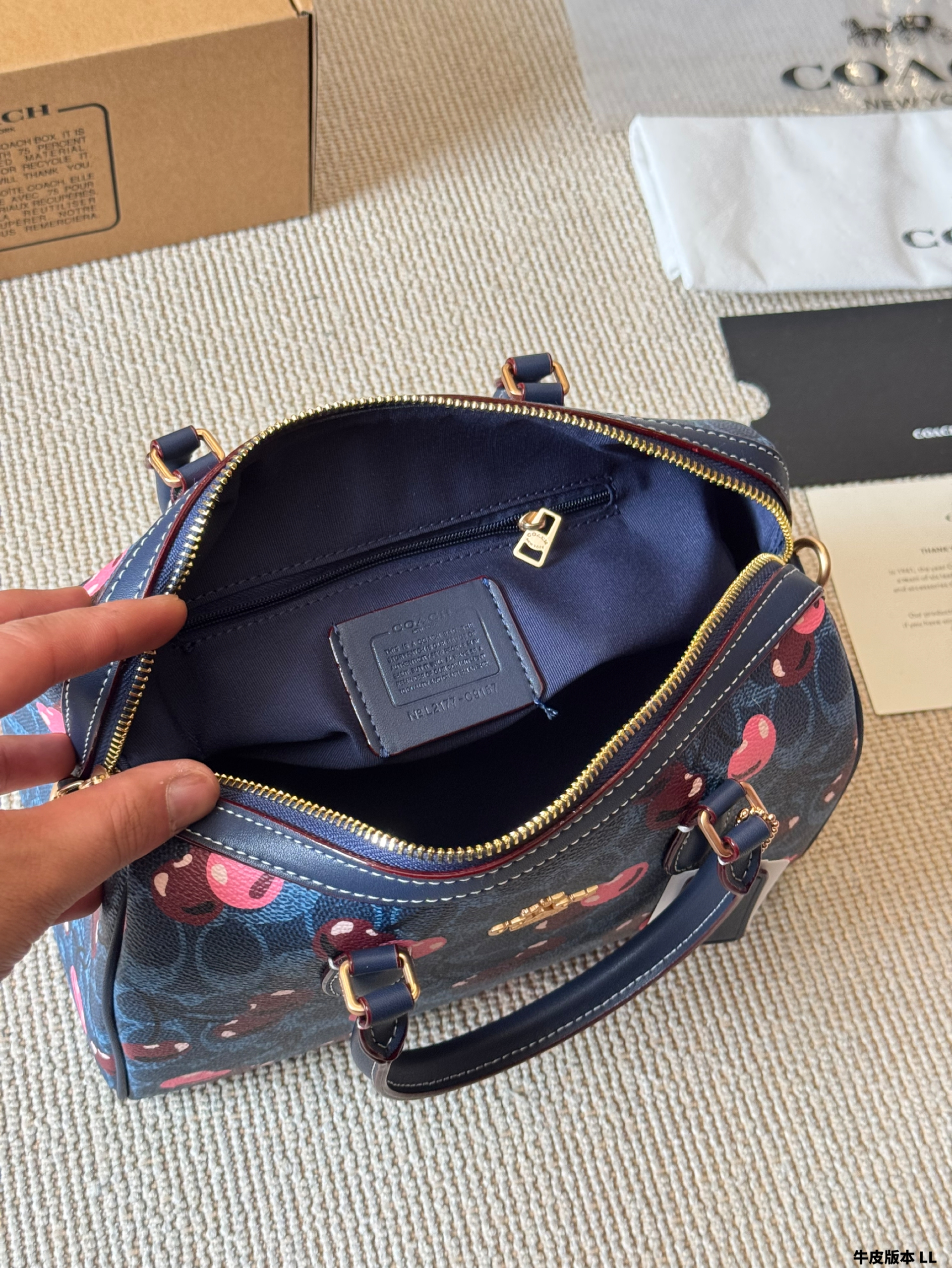 Coach miniRowan pillow bag