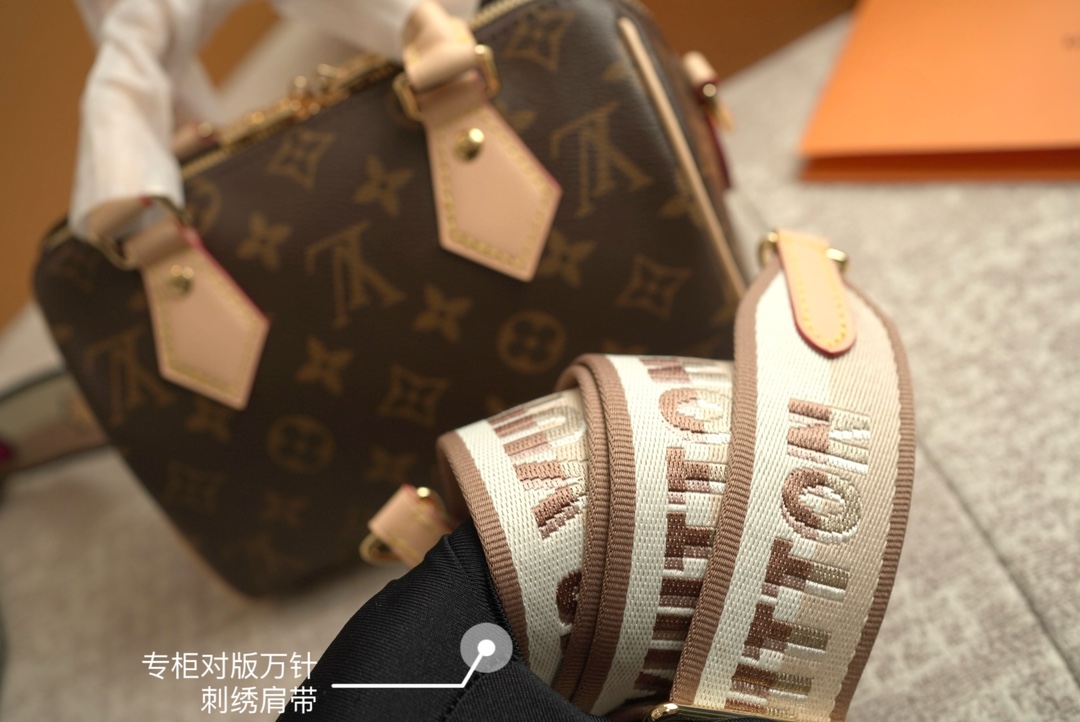 LV Speedy20 Pillow bag