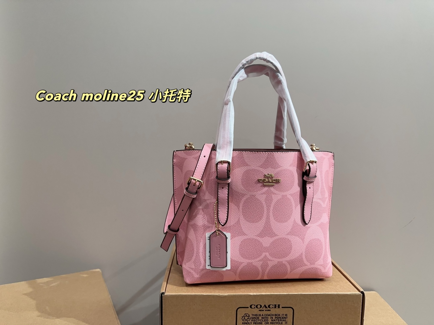 Coach moline25 small tote