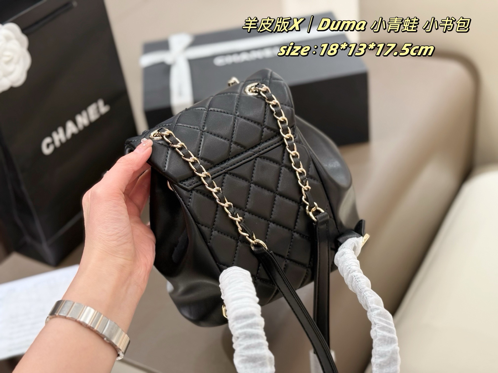Chanel 22c duma backpack