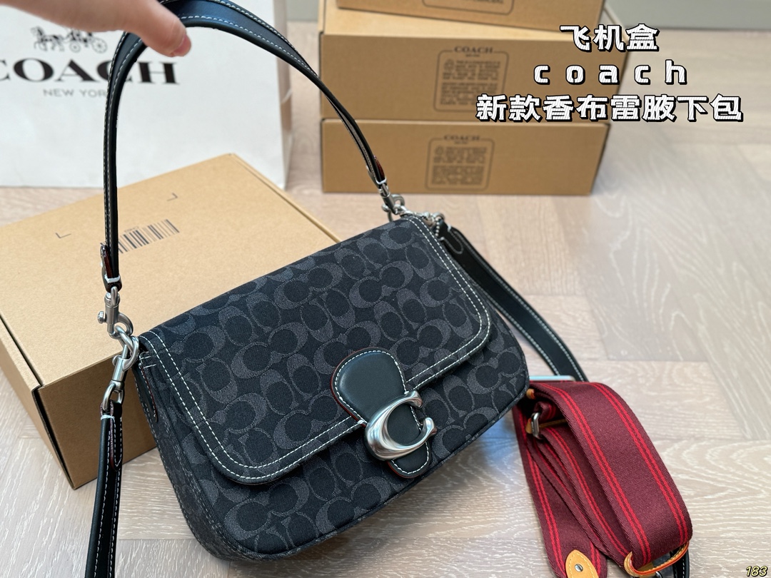 Coach Chambre underarm bag