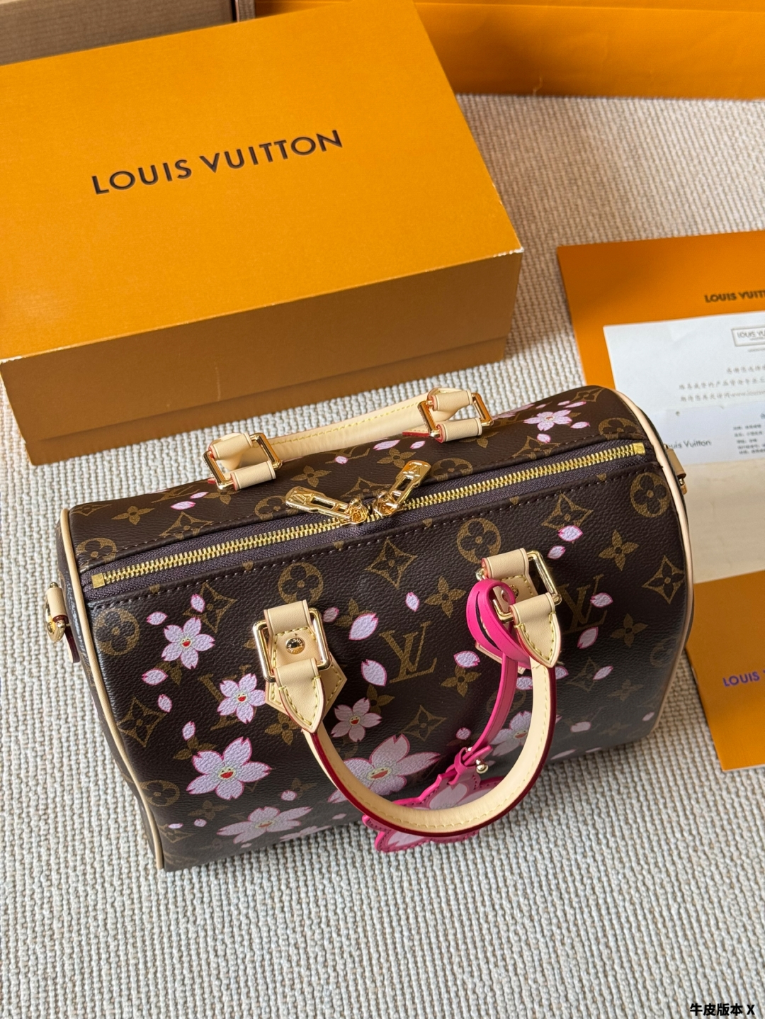 LV Speedy Pillow Bag