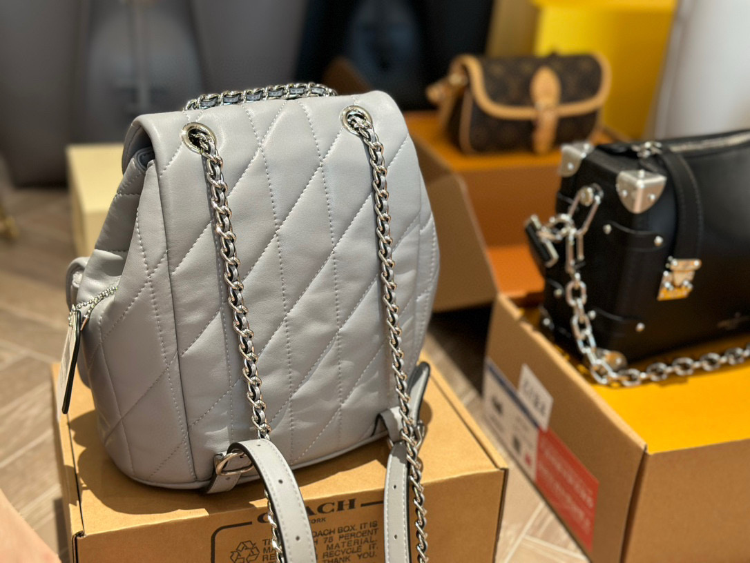 Coach versatile backpack