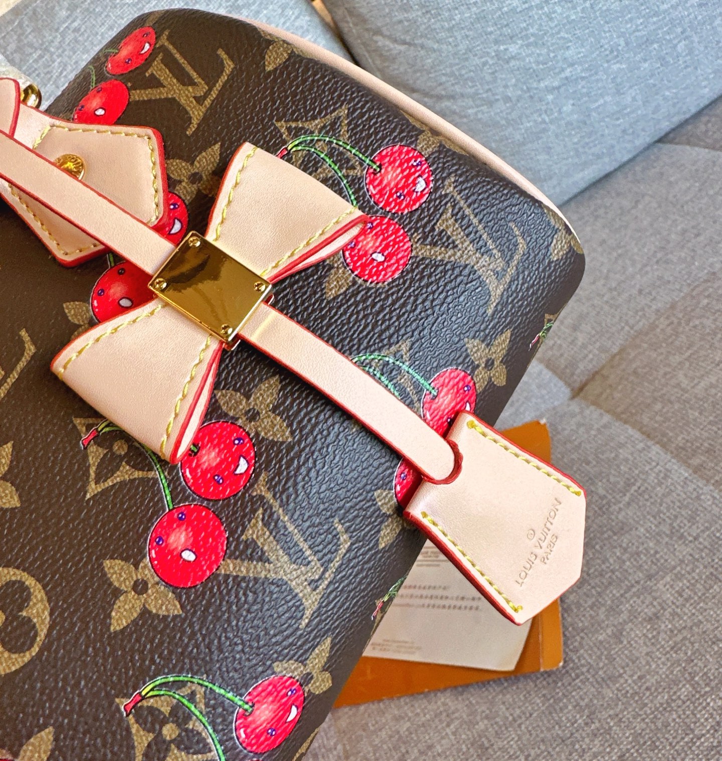 LV speedy20 Cherry pillow bag