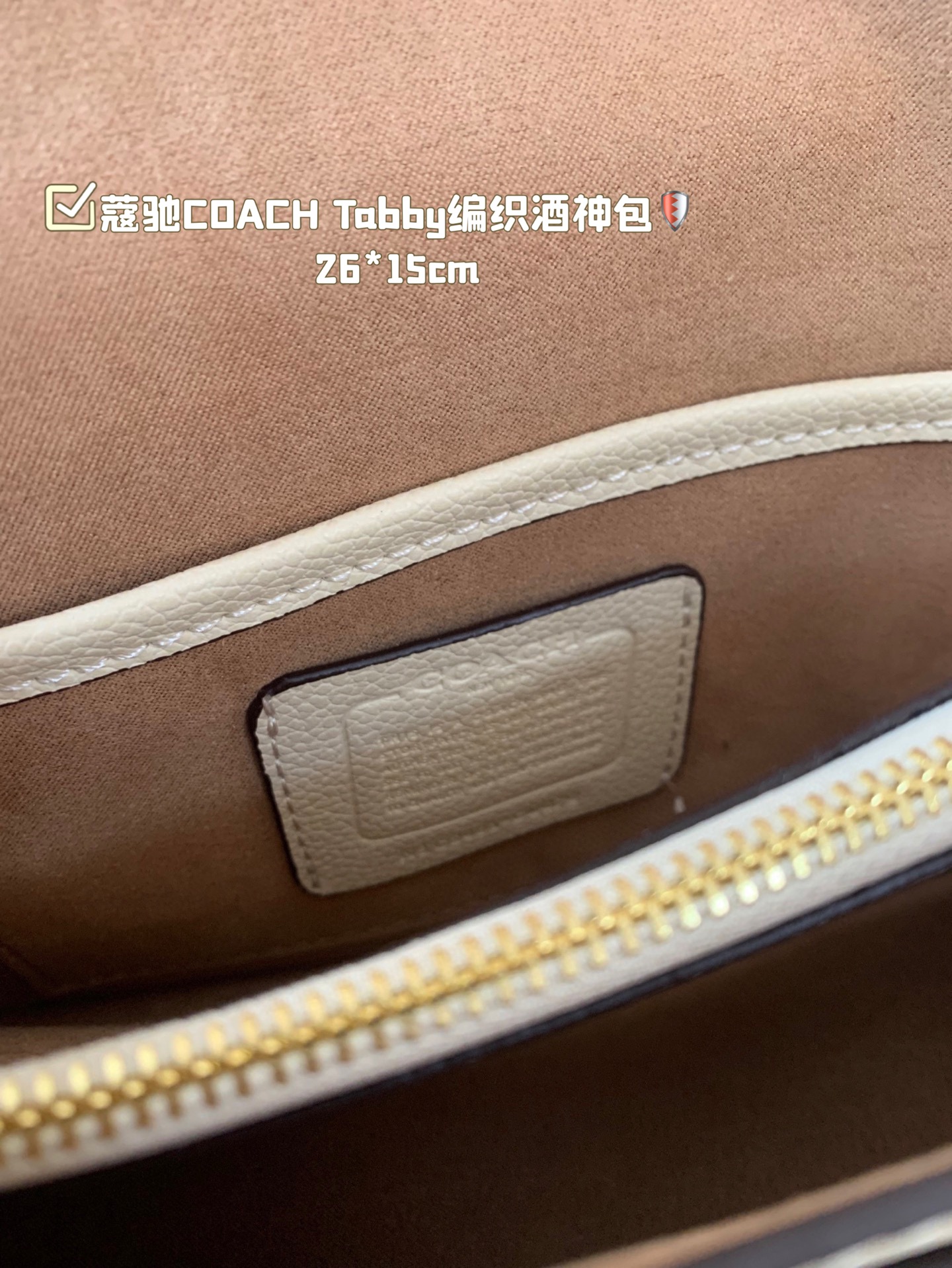 COACH Tabby braided Dionysus bags