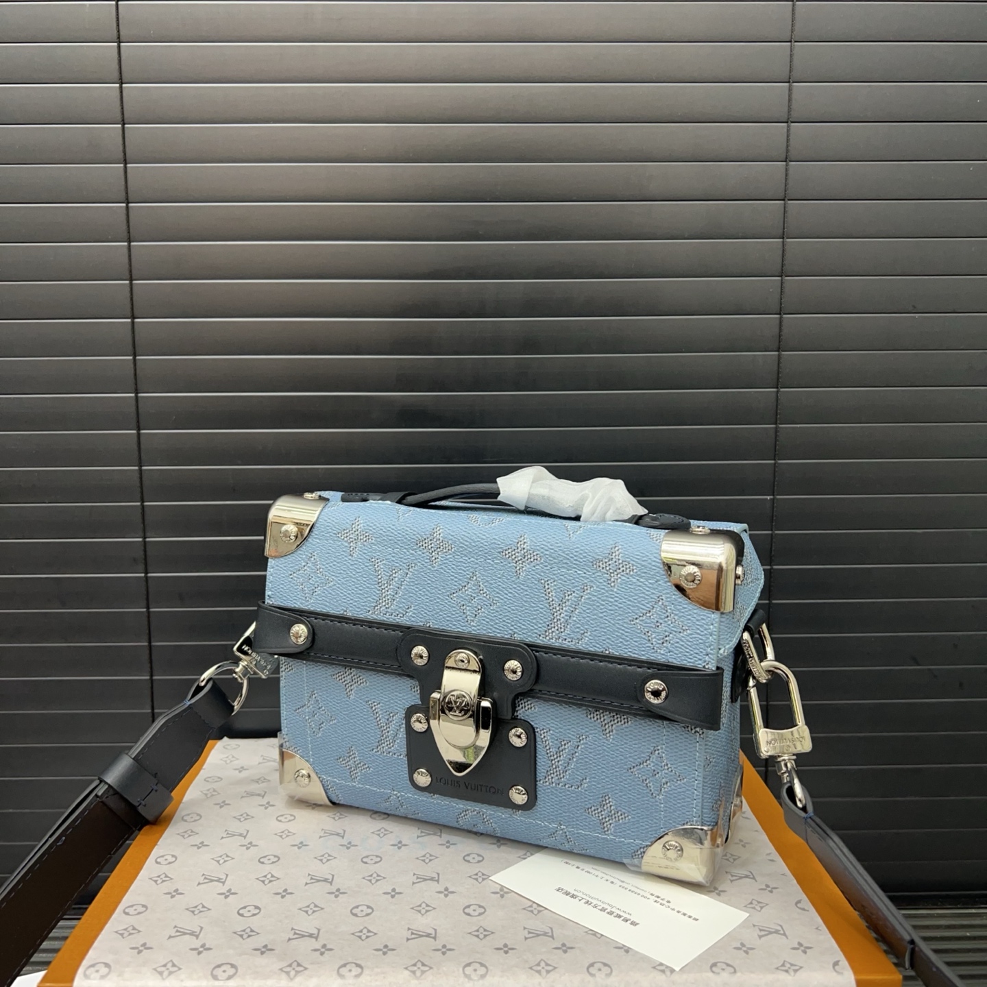 LouisVuitton box bag