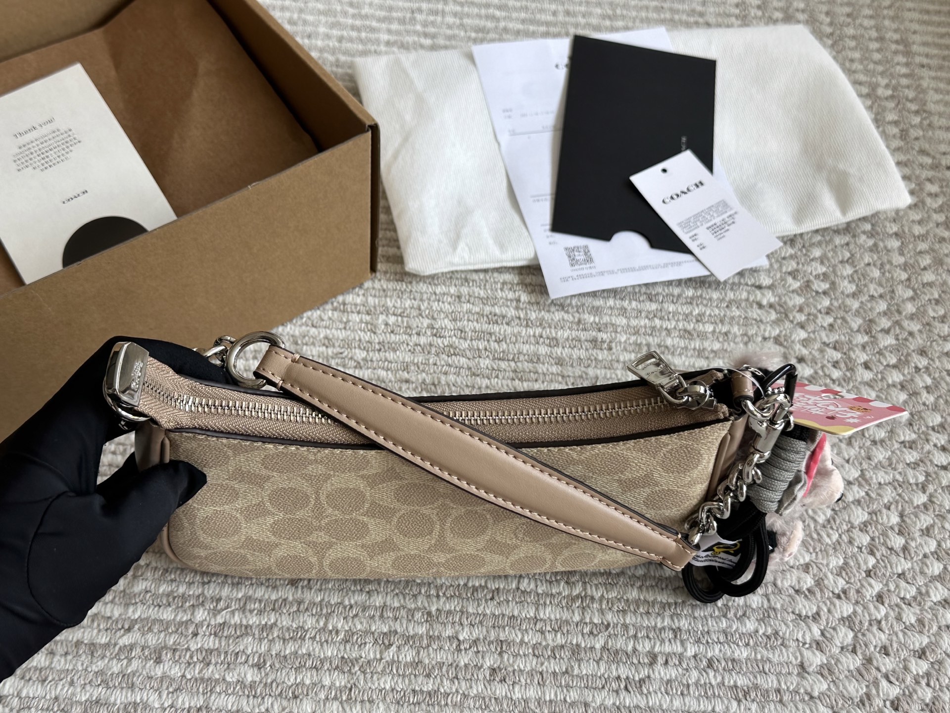 Coach Teri Underarm Bag