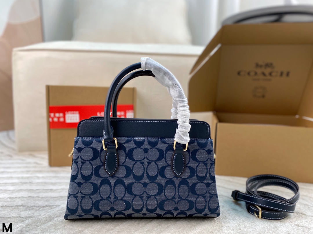 Coach Darcie handbag