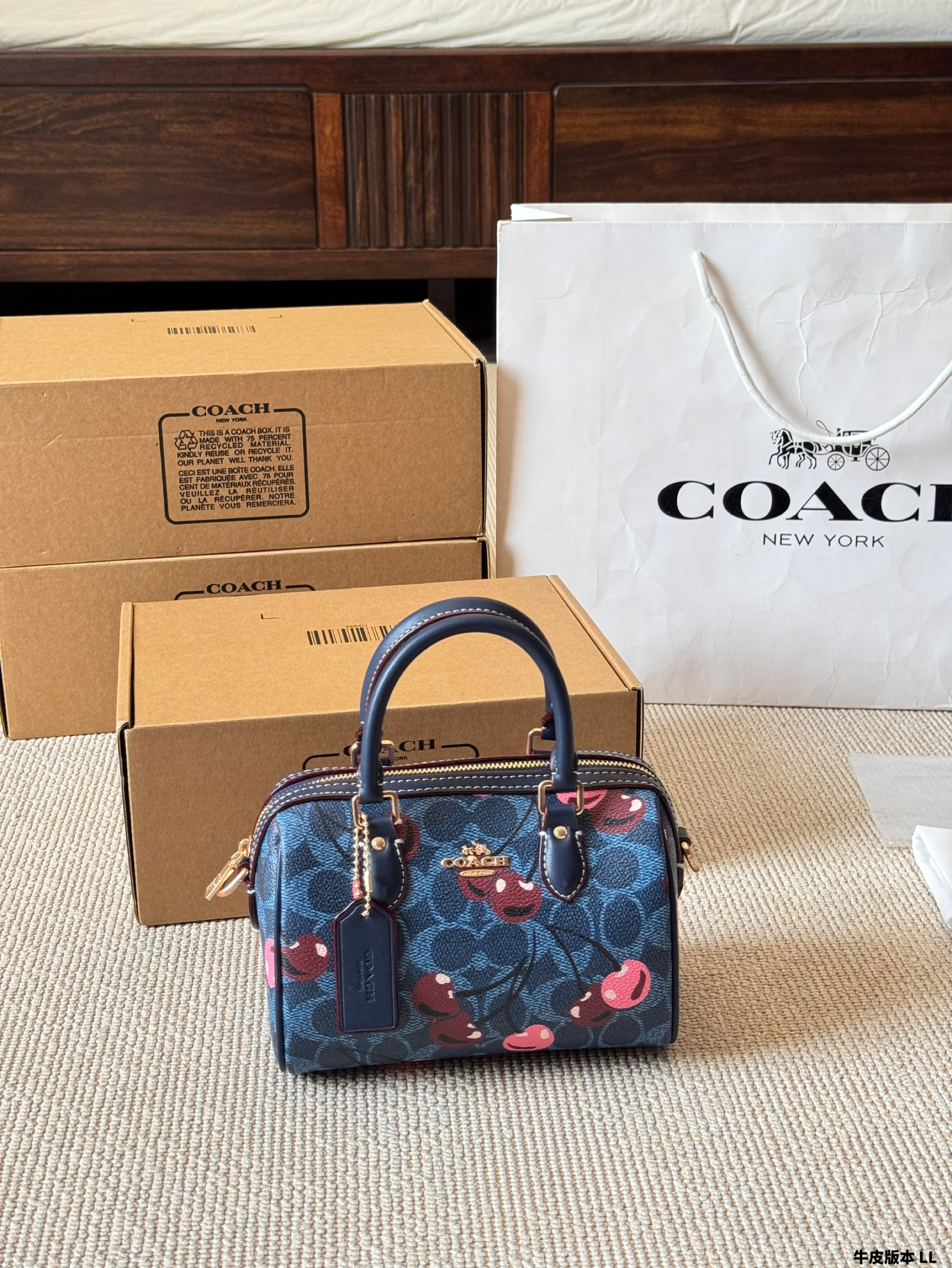 Coach miniRowan pillow bag