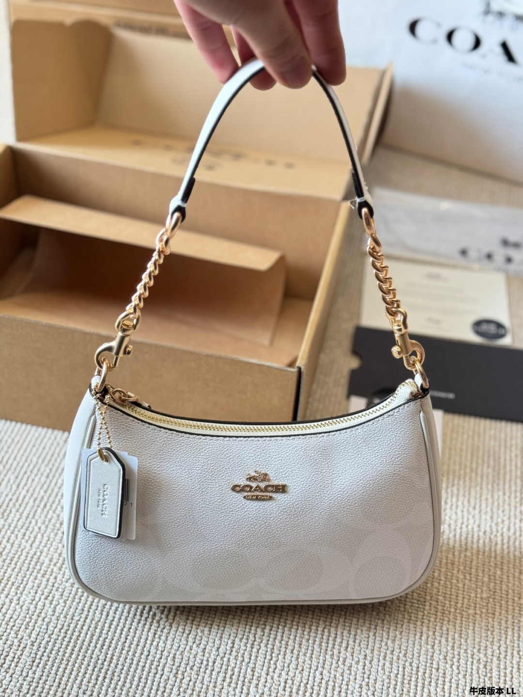 Coach Teri series armpit bag