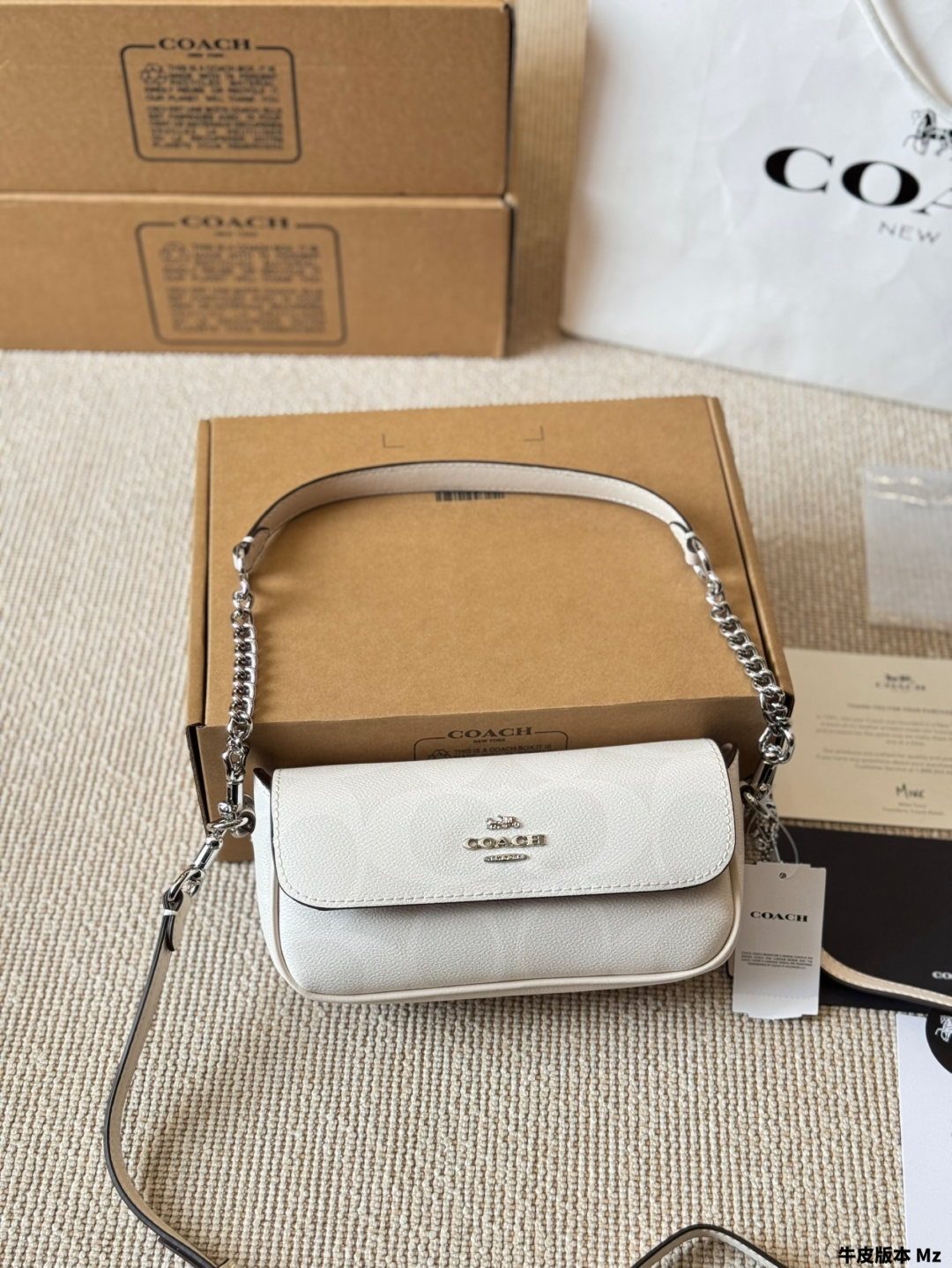 Coach's new Hailey baguette envelope bag
