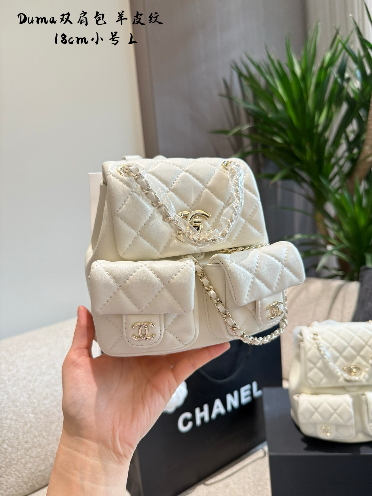 Chanel duma backpack
