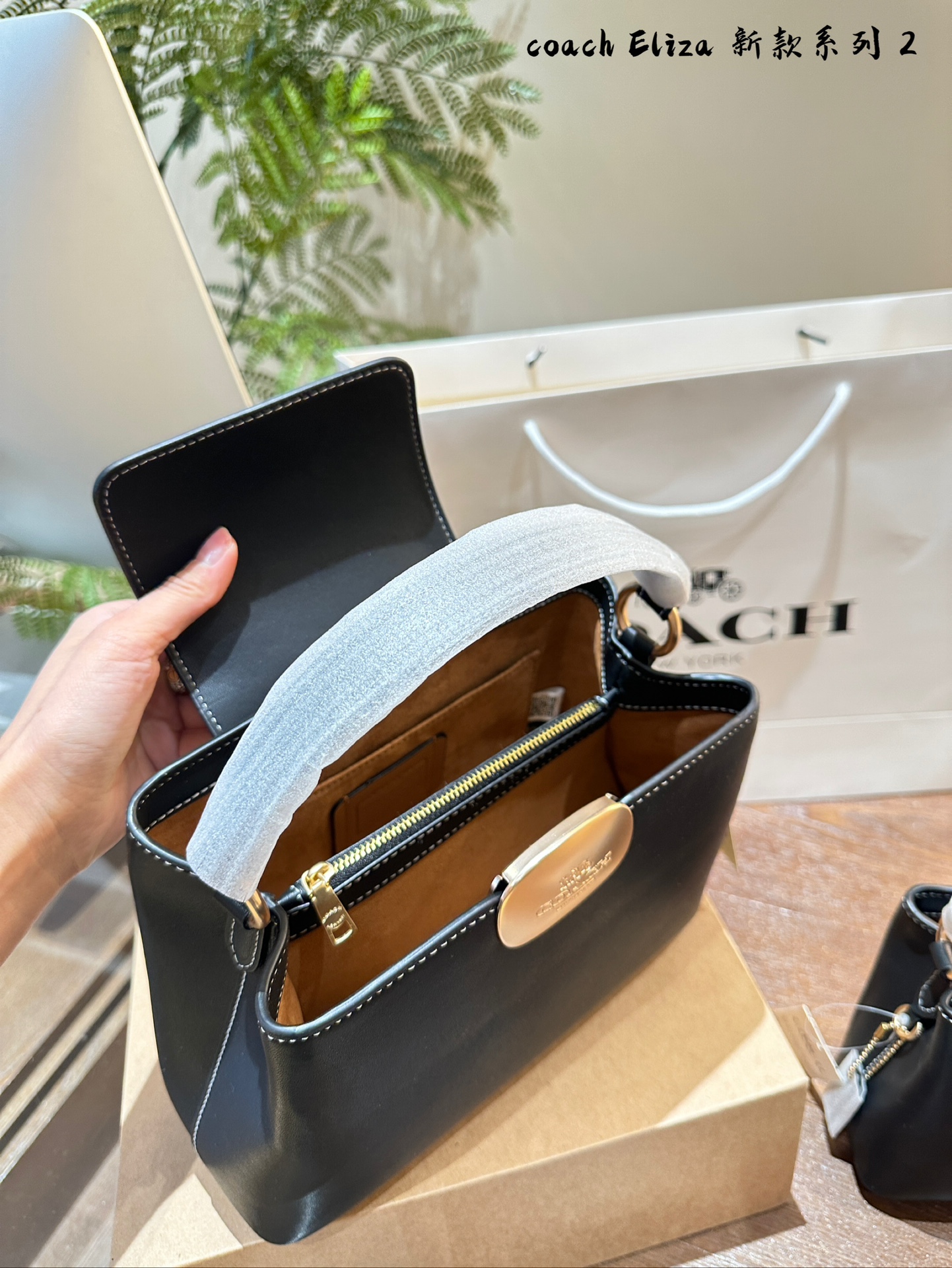 COACH Elizamini handbag