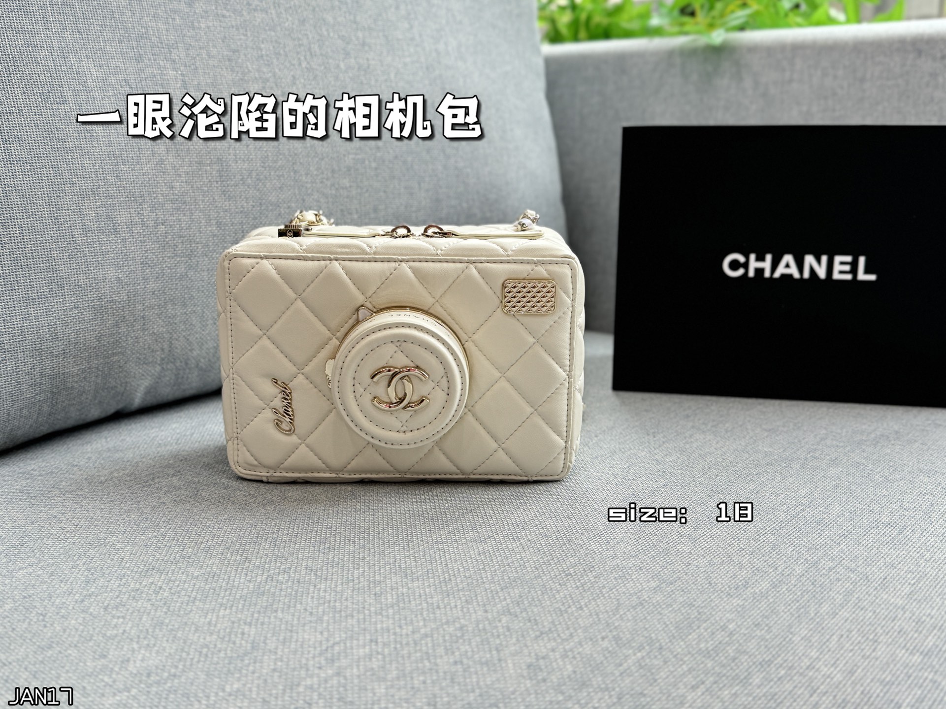 Chanel 24s camera bag