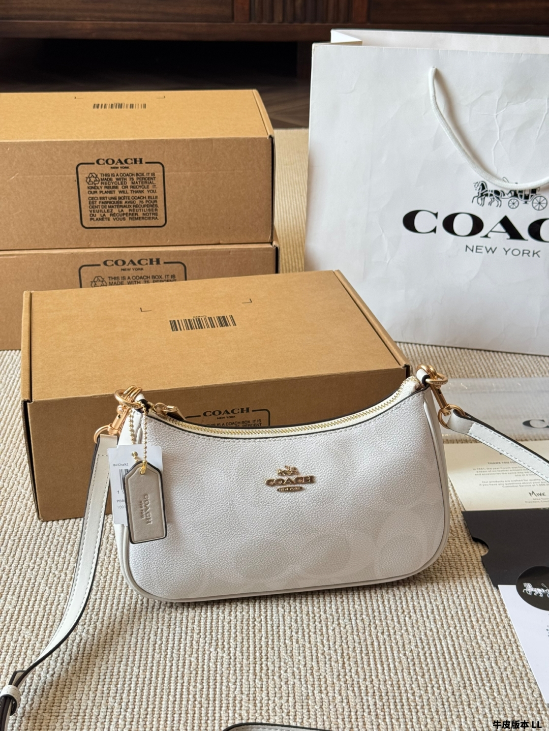Coach Teri series armpit bag