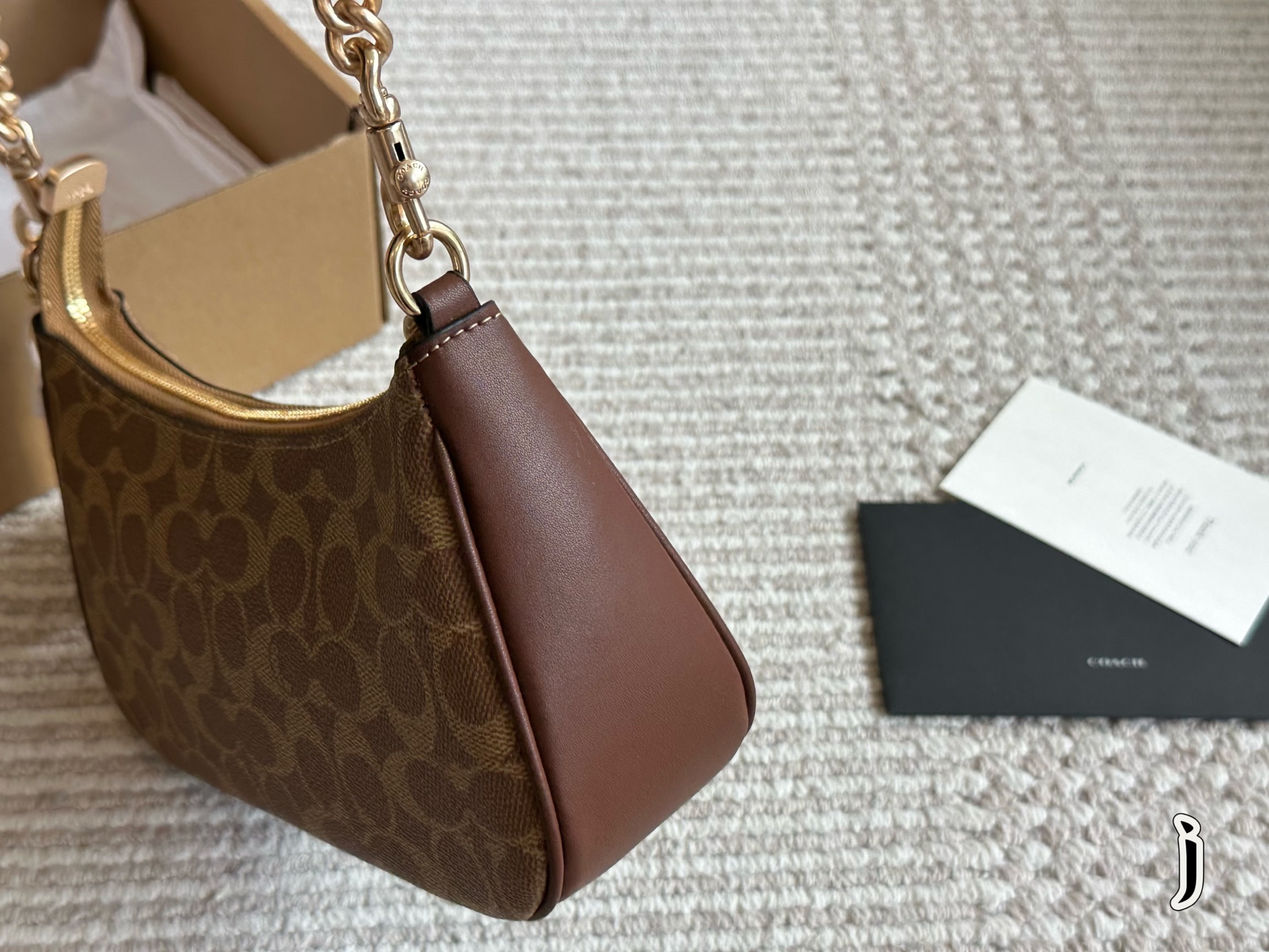 Coach Teri Underarm Bag