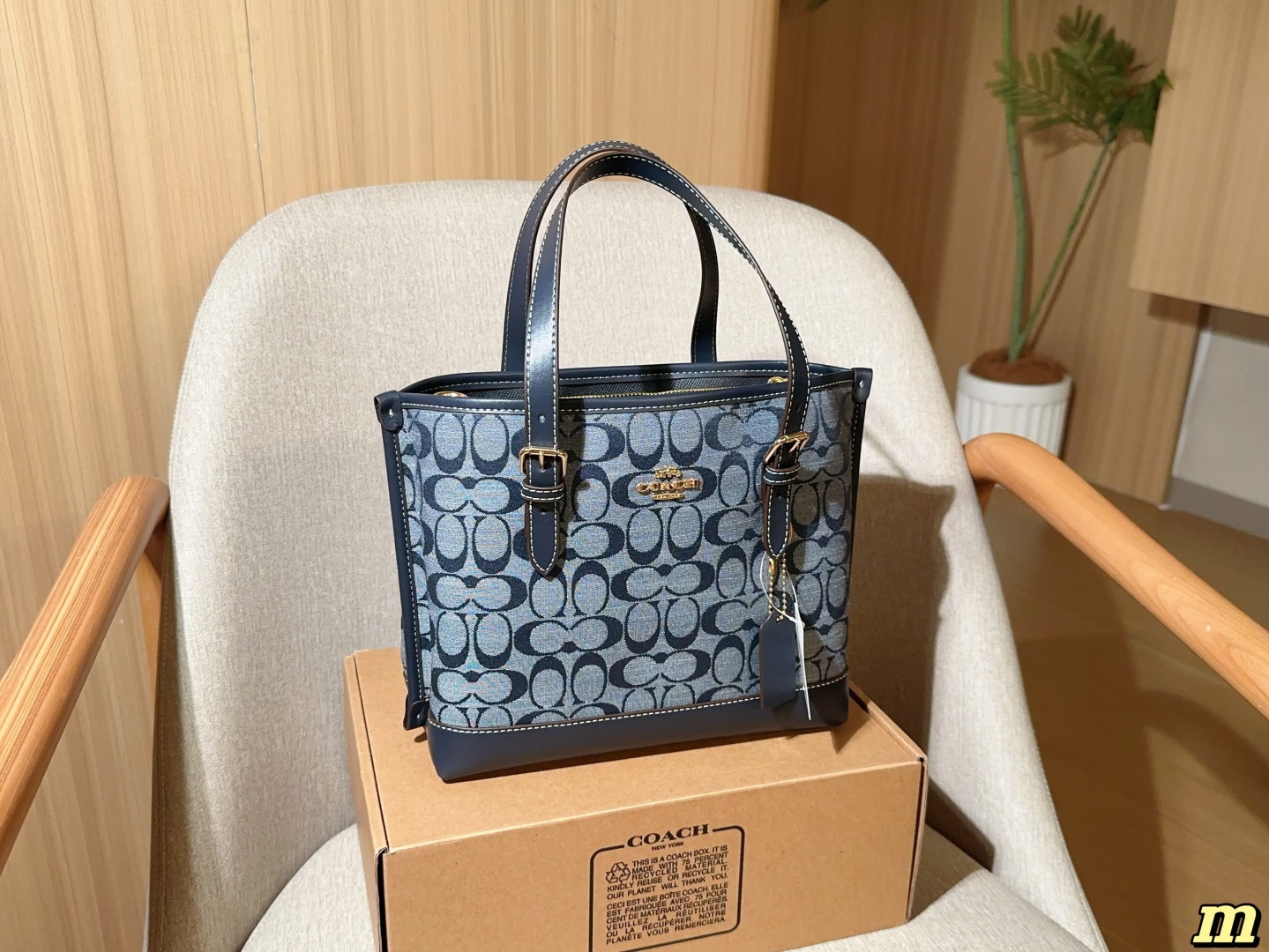 Coach Wilow Tote bag