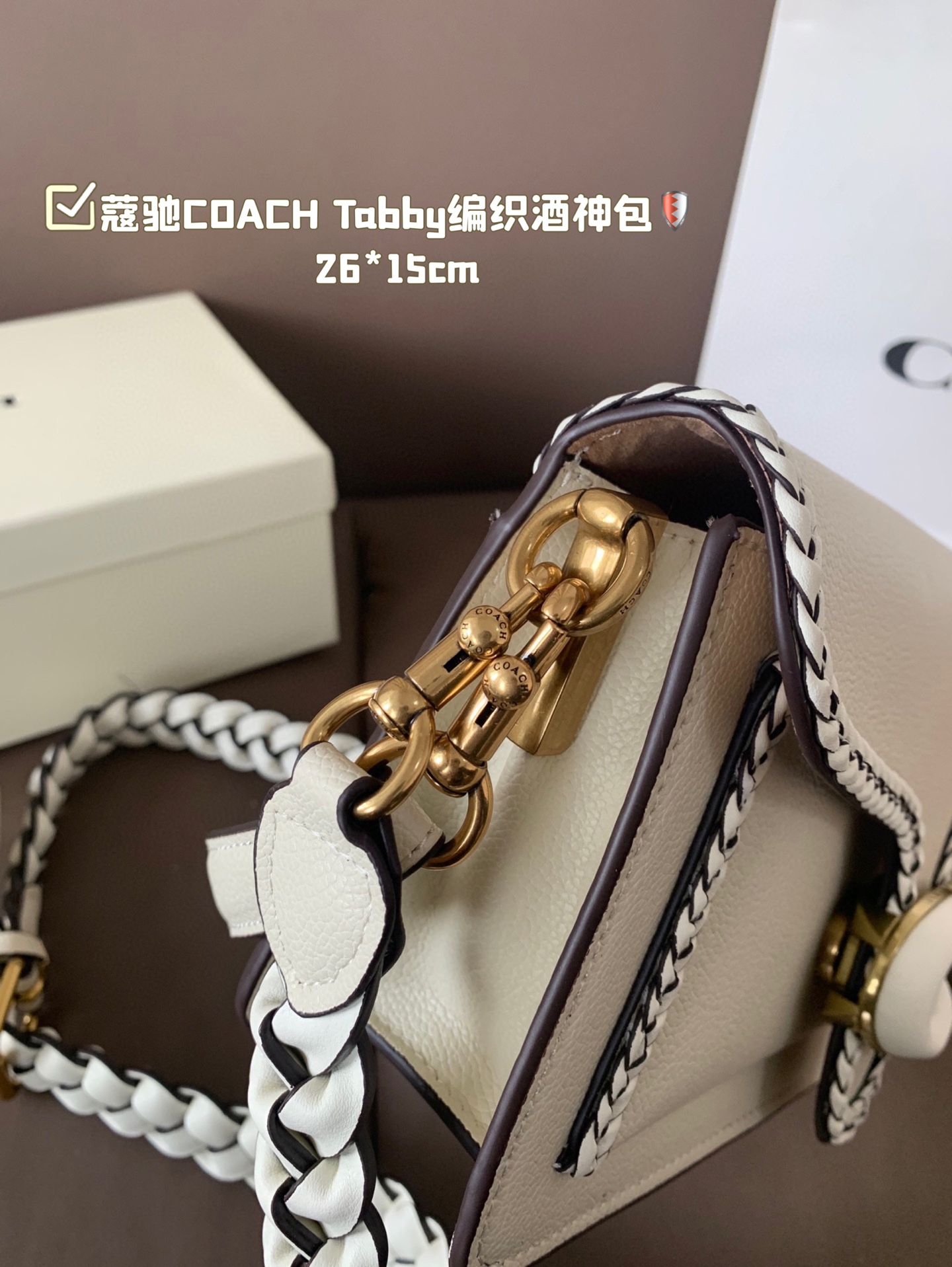 COACH Tabby braided Dionysus bags