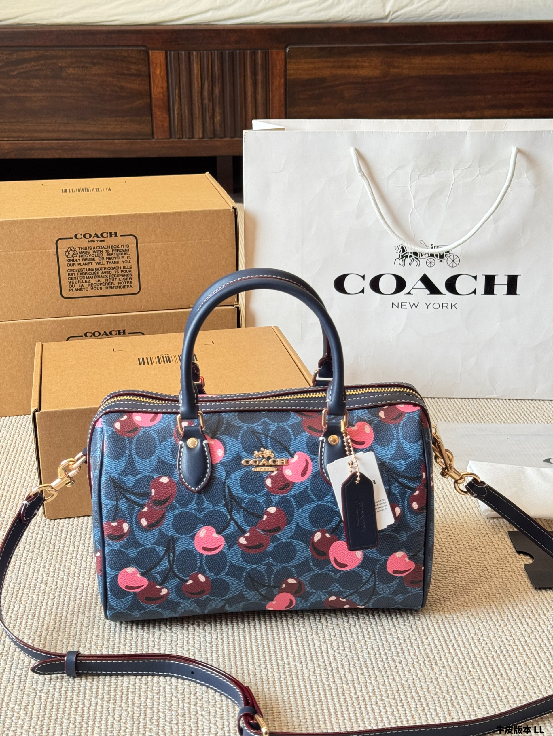 Coach miniRowan pillow bag