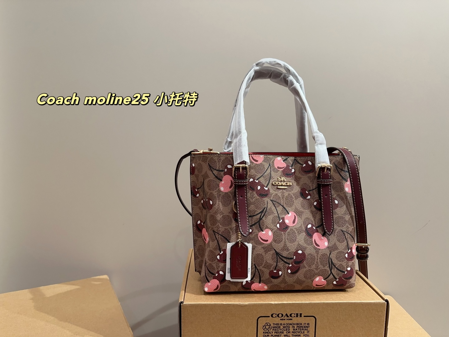Coach moline25 small tote
