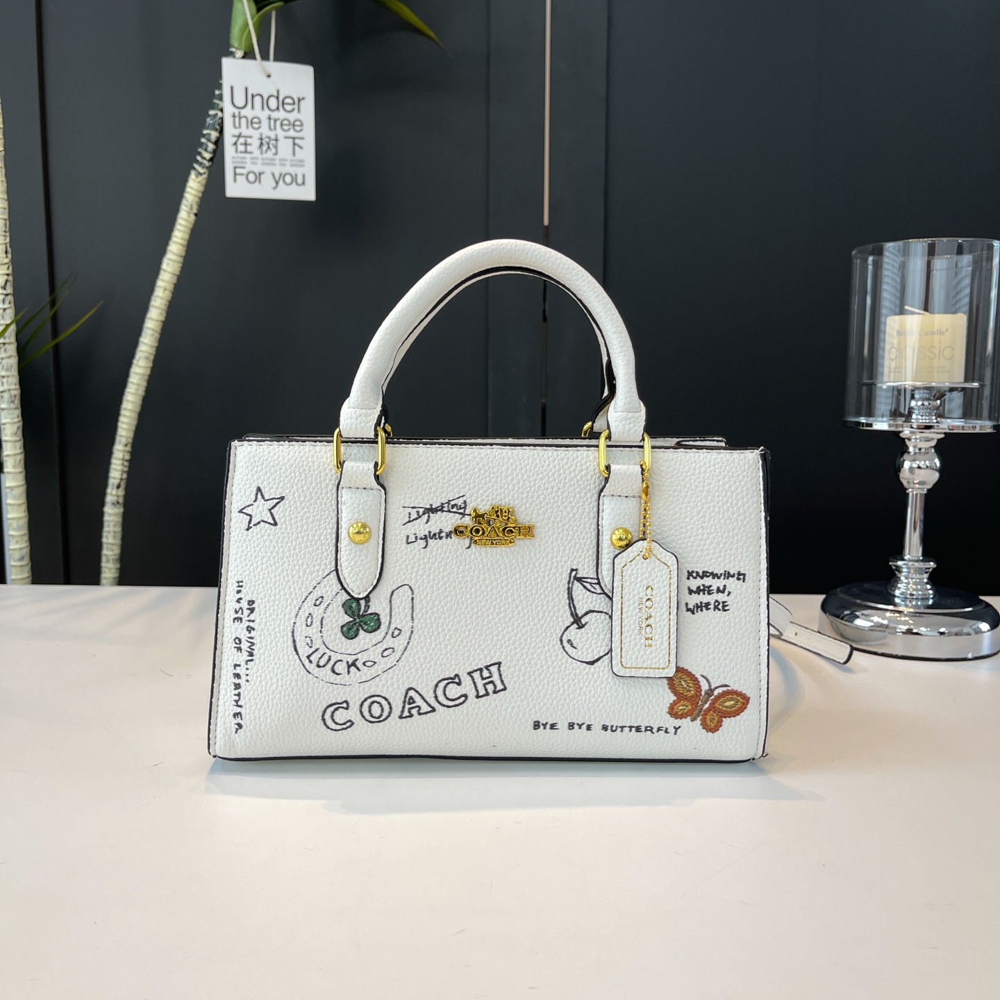 Coach printed women's bag