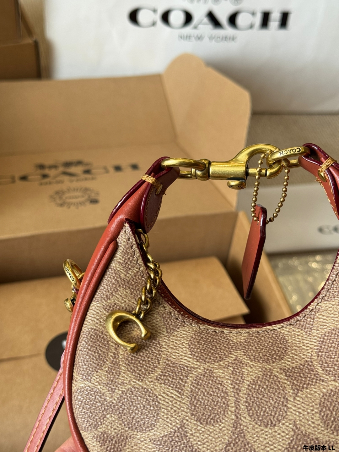 COACH mini crescent bag