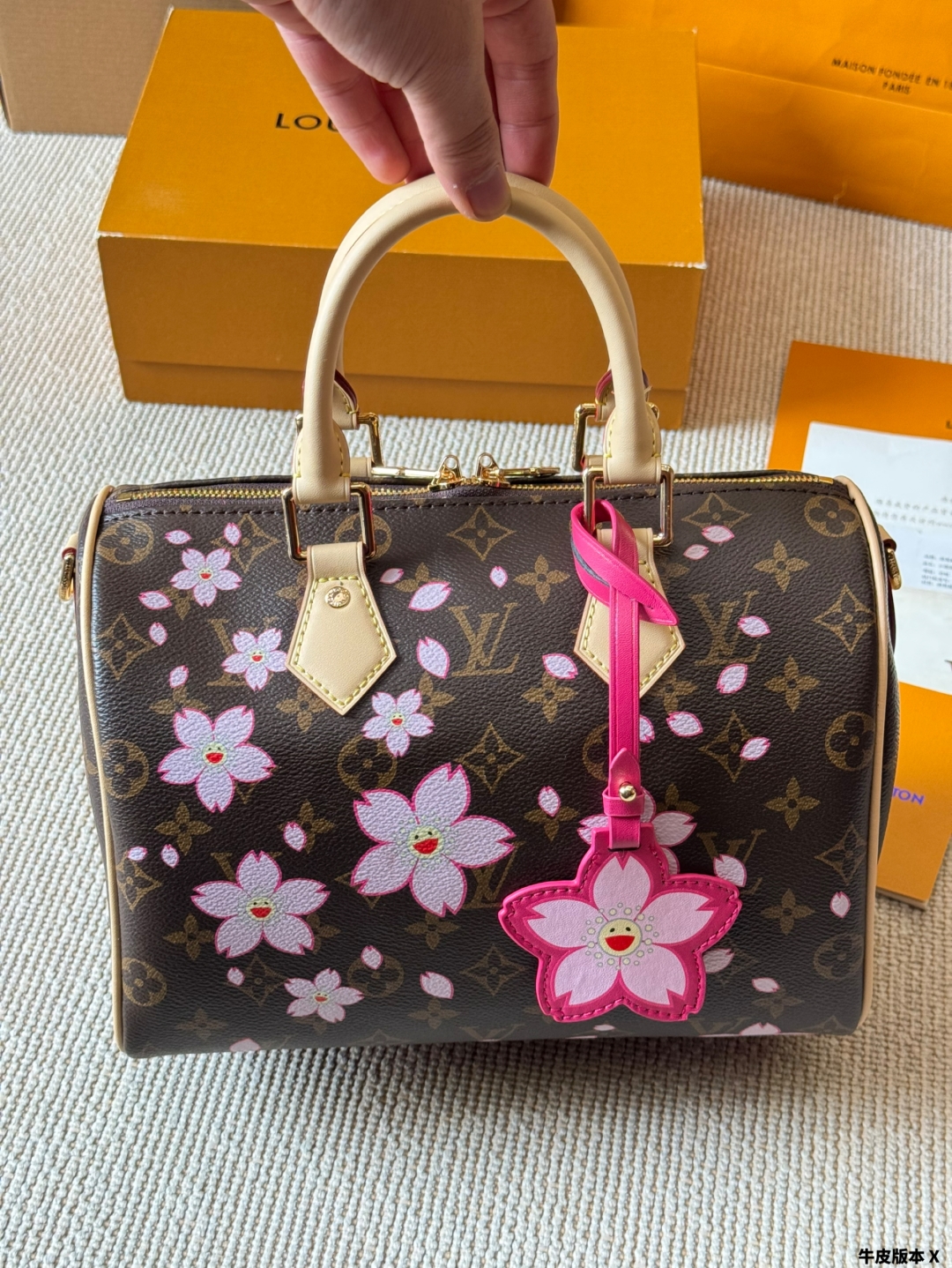 LV Speedy Pillow Bag