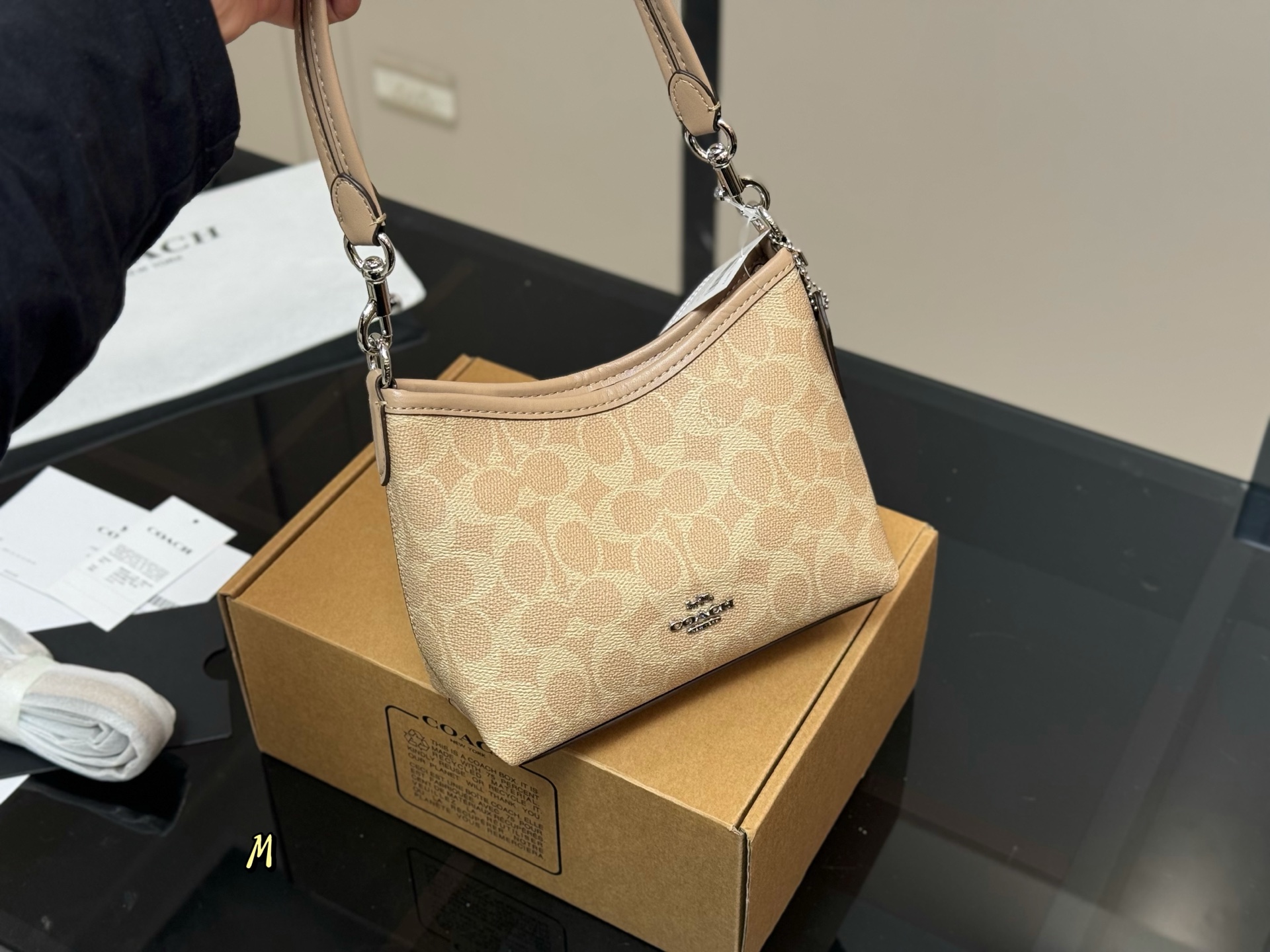 Coach mini Laurel Hobo Bag