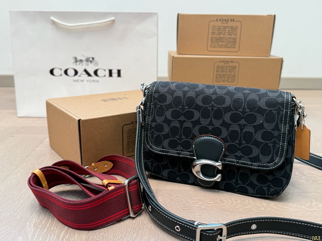 Coach Chambre underarm bag