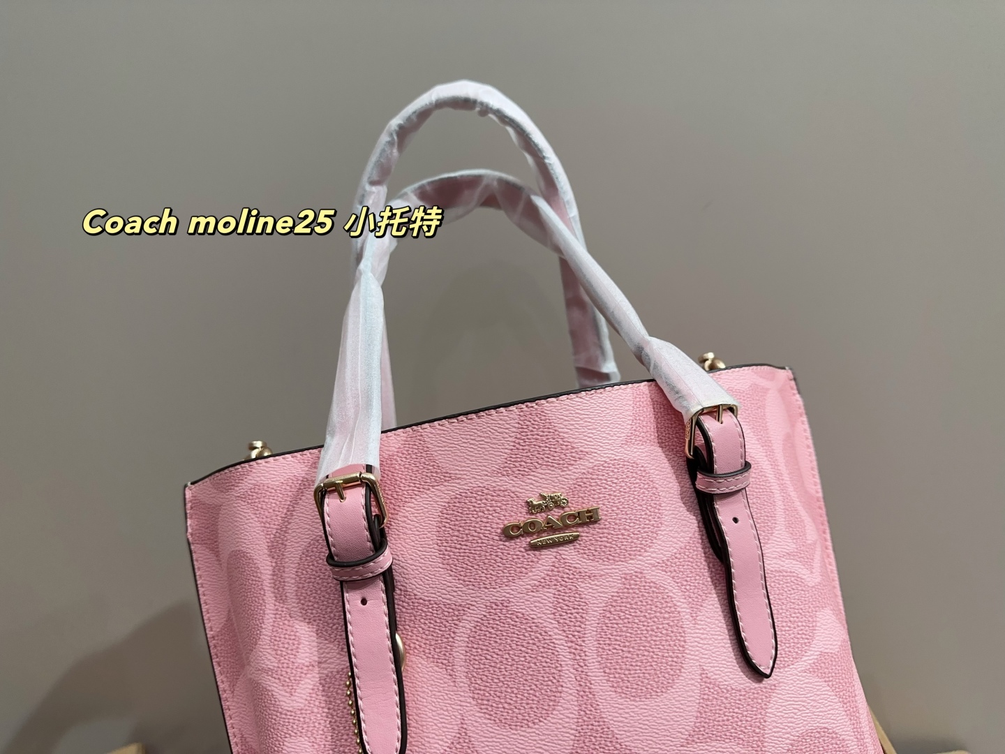 Coach moline25 small tote