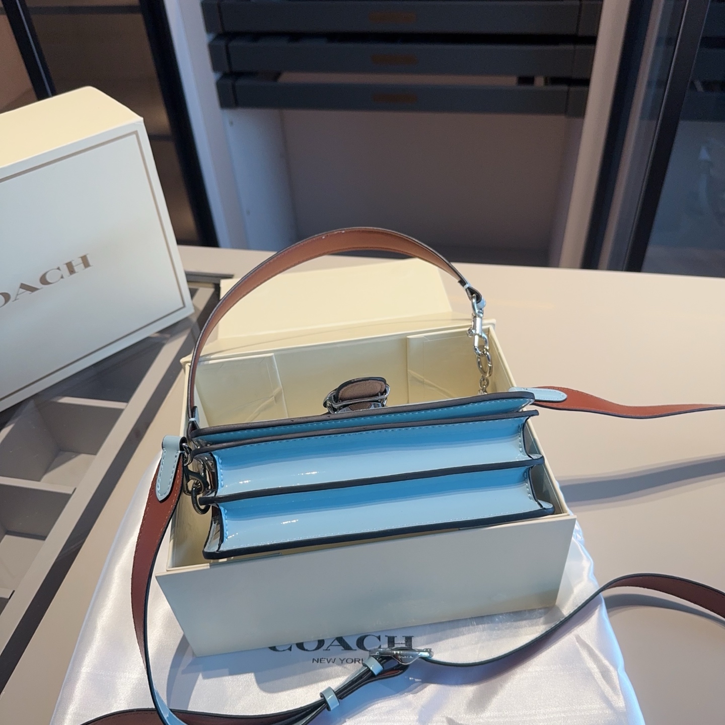 Coach's new patent leather embossed Dionysus bag tall version