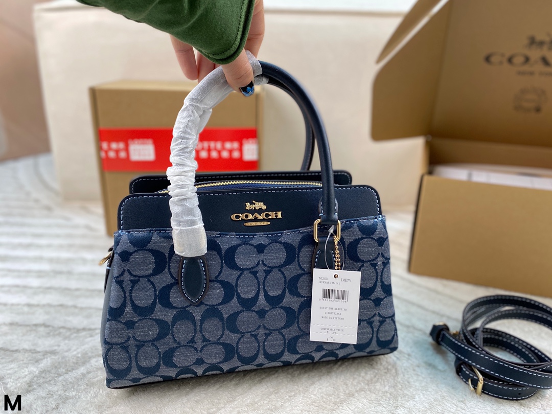 Coach Darcie handbag