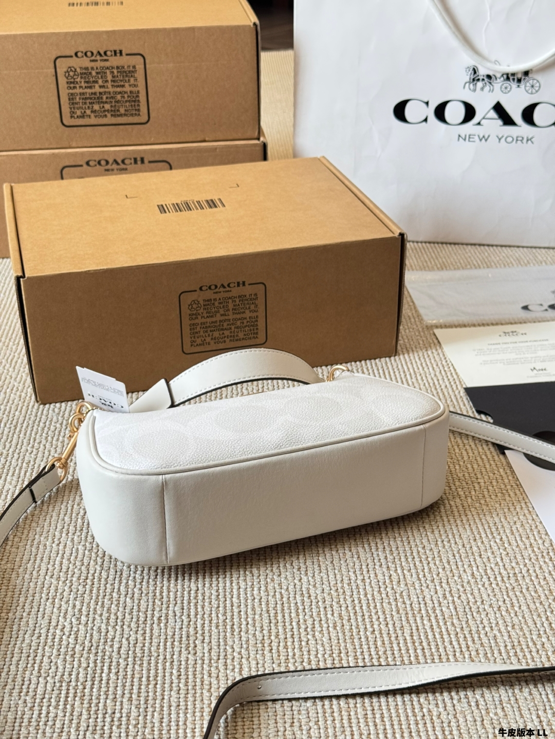 Coach Teri series armpit bag