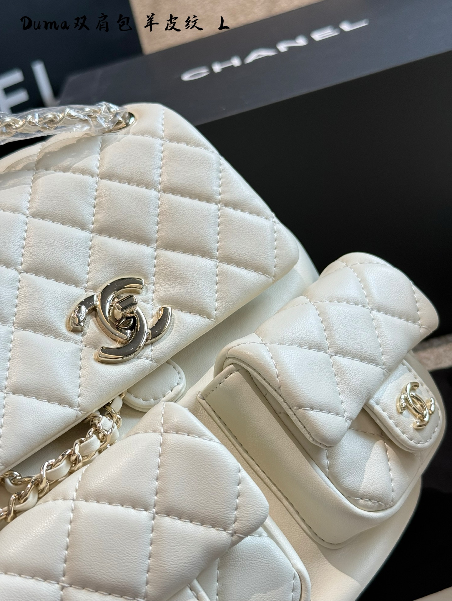 Chanel duma backpack