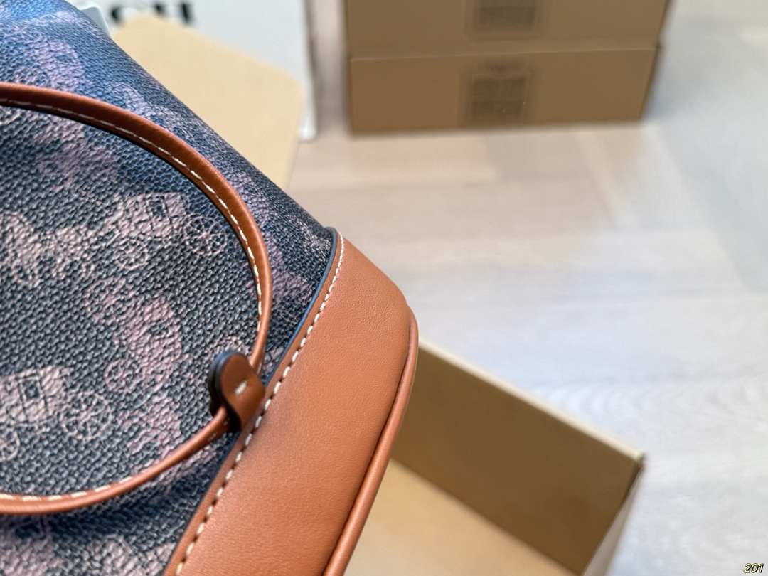 Coach backpack for everyday wear