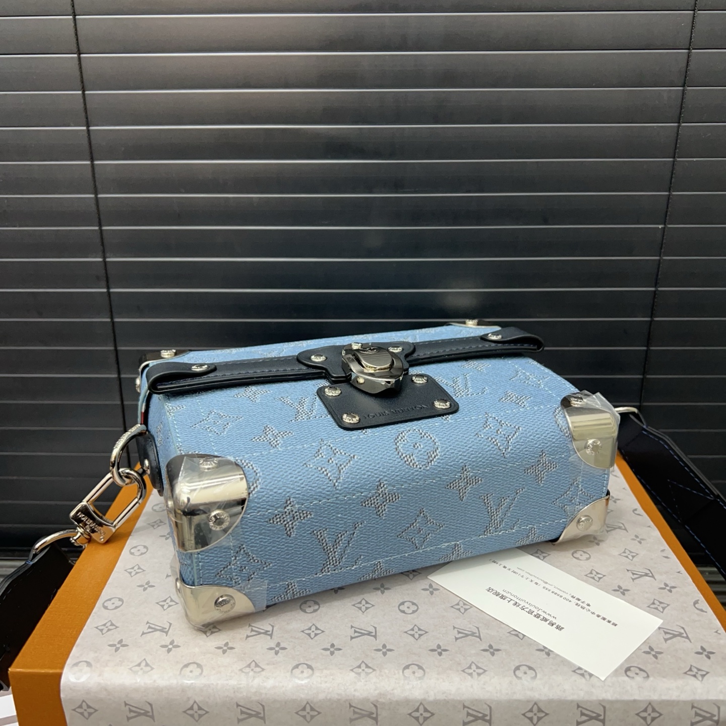 LouisVuitton box bag