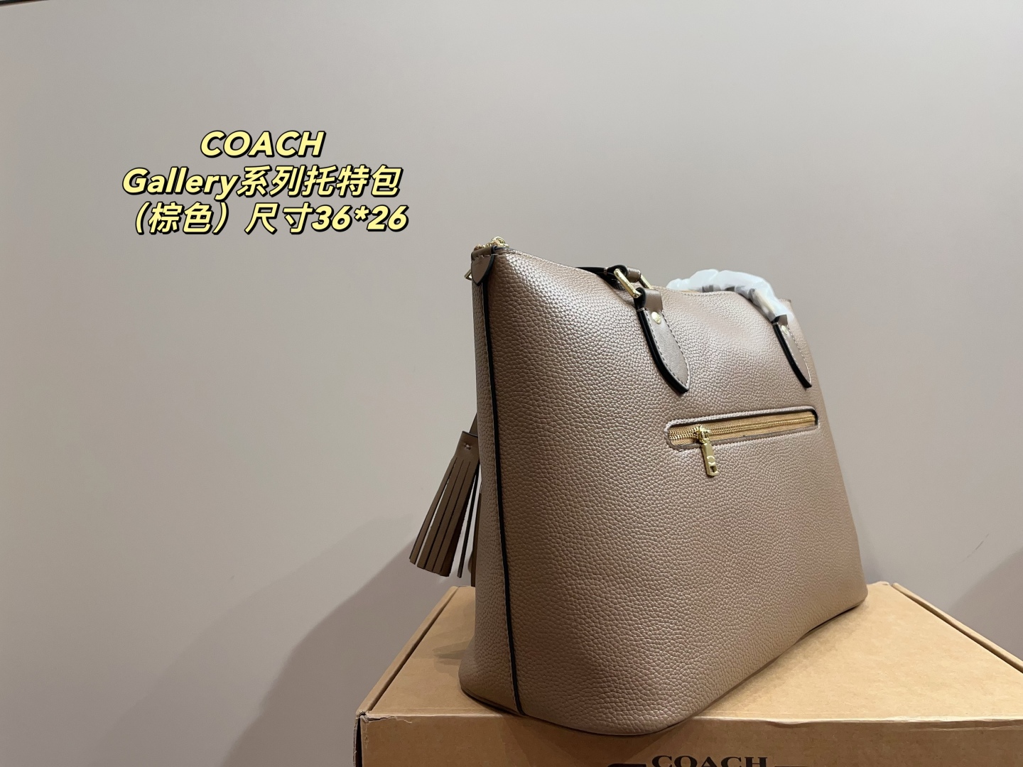 Coach Gallery Series Tote Bag
