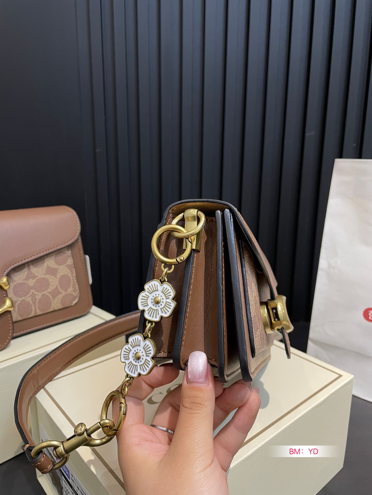 Coach Dionysus Tabby Bag