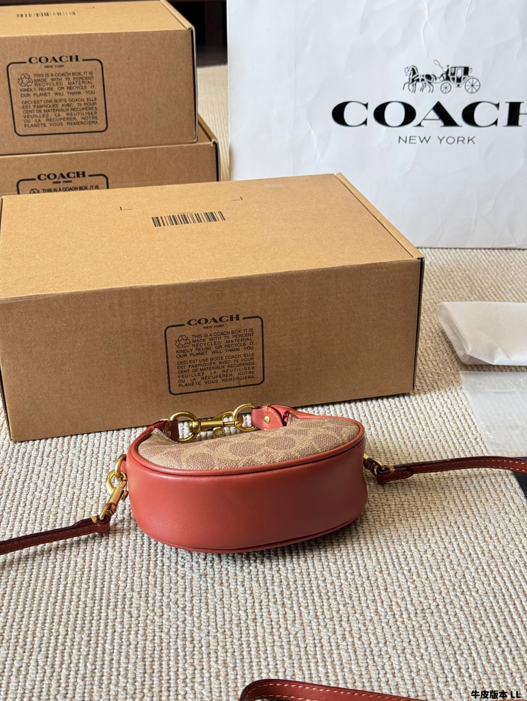 COACH mini crescent bag